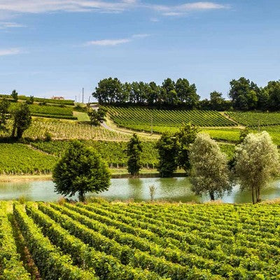 R LES LEGENDES BORDEAUX BLANC