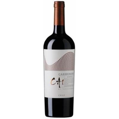 TERRANOBLE CA1 CARMENERE ANDES
