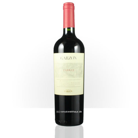 GARZON RESERVE TANNAT